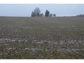 Property photo 37 - FARM AUCTION - 60.5+/- ACRES IN 5 TRACTS IN ALLEN COUNTY, INDIANA